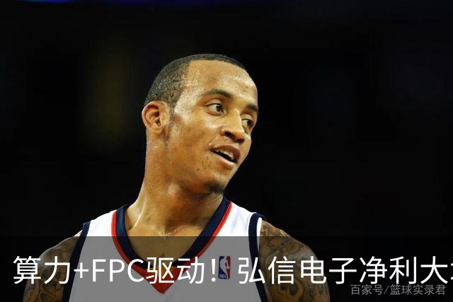 算力+FPC驱动！弘信电子净利大增139%，股价较年内高点回撤超40%